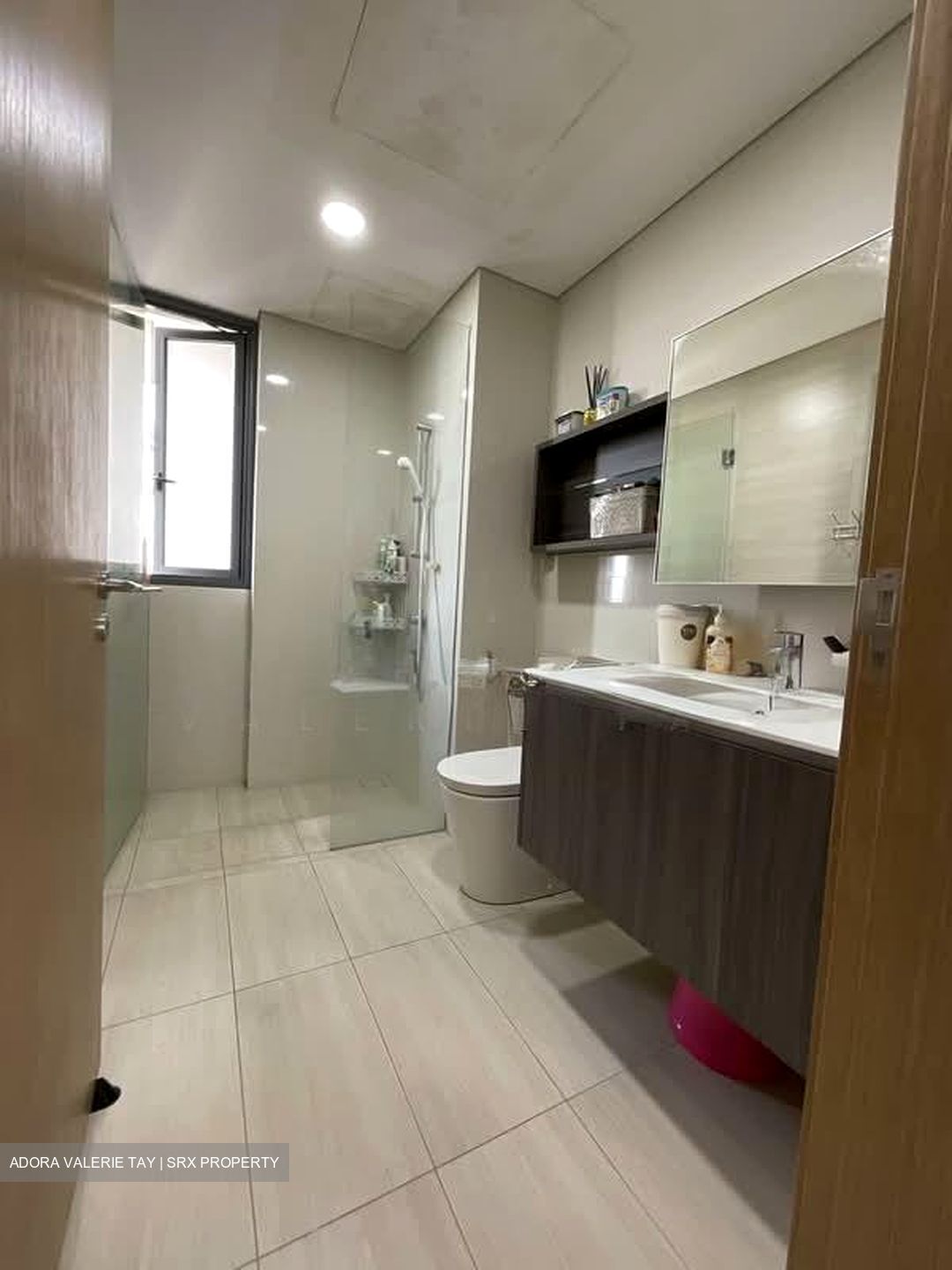 Lakeville (D22), Condominium #569853171